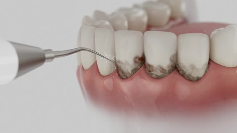 Reliable Dental contractor in Hamilton, AL by Dentist Open Now